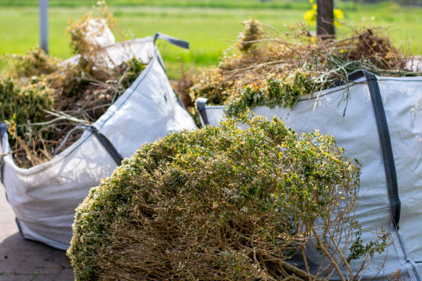 Best Electronics and E-Waste Disposal  in Cairo, GA
